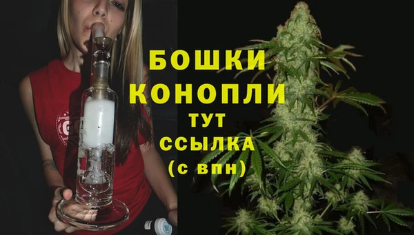 СК Аркадак