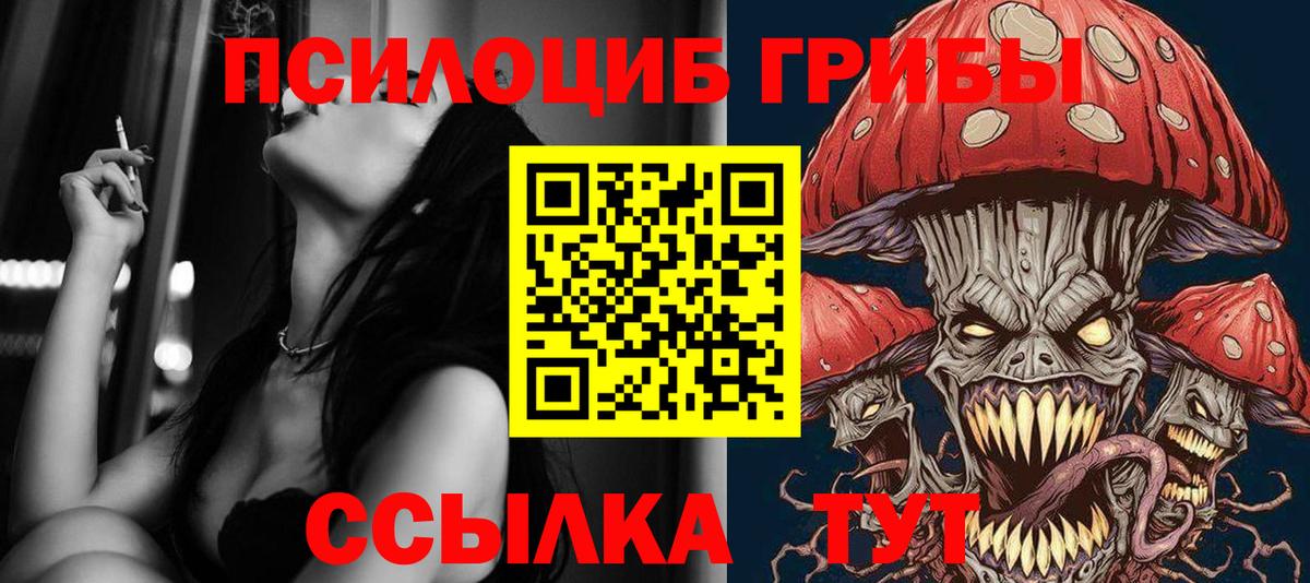 Корсаков  Псилоцибиновые грибы Psilocybe  Вход с VPN 