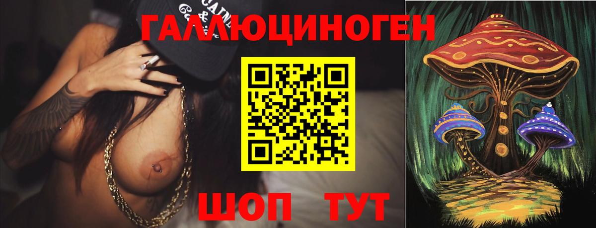 Галлюциногенные грибы мухоморы Корсаков